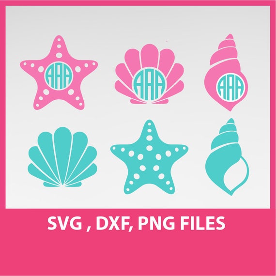 Download Starfish svg sea star svg sea shells SVG DXF PNG Formats