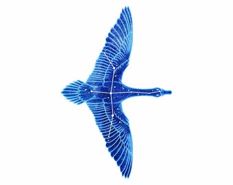 Constellation: Cygnus the Swan Vinyl Sticker