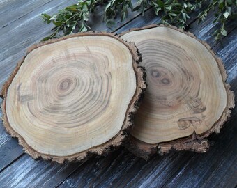 Set of 2 Wood Slices 7-8 inch wood slabs Wood centerpieces Wood rounds with bark Rustic centerpiece Rustic wedding decor Holiday table decor