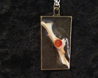 Real squirrel pelvis bone with fire colored swarovski crystal!