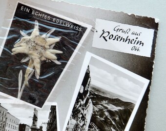 Vintage Picture Postcard with Pressed Edelweiss. Greetings from Rosenheim.