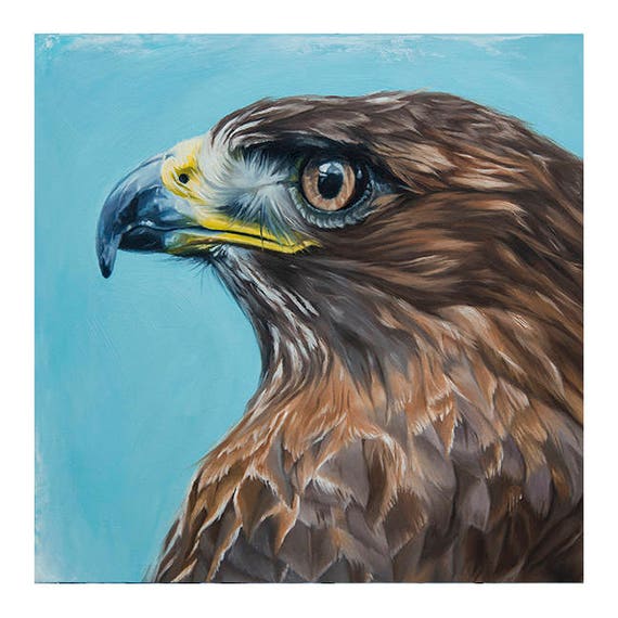 Redtail Hawk Print Red-tailed Hawk Art Fine Art Print Animal