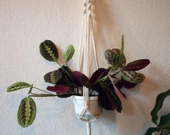 Cream Macrame Plant Hanger 90cm long / Plant Holder / Hanging Planter / Home Decor / Macrame Plant Holder / Pot Hanger / Garden Decor
