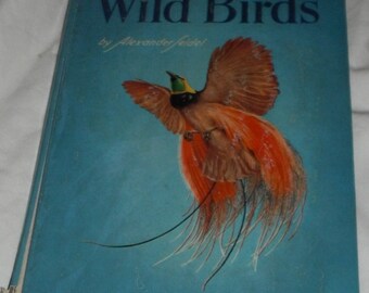 A Child's Book of Wild Birds by Alexander Feidel Vintage Maxton Books for Young People
