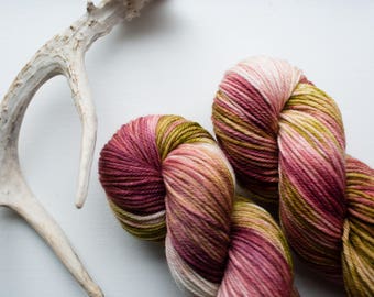 Hens in the Farmyard {DK Weight} Superwash Merino