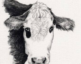 What a Pair Holstein Cows charcoal art original cattle farm