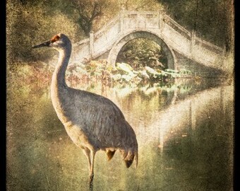 CRANE BEFORE THE BRIDGE, Signed, Original, Fine Art Photograph
