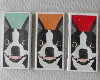 Boston Terrier painting print on mini canvas