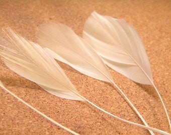 has 5 feather teal white shank - 14 cm 19 cm - liked 04