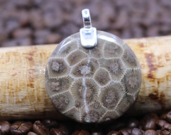 Petoskey Stone Pendant