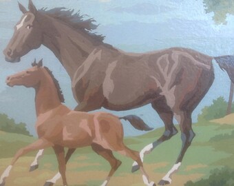 Horse and Colt Paint by Numbers