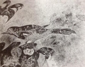 original pencil drawing of Pompeii bird (2)