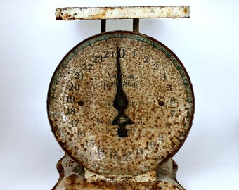 American Family Kitchen Scale - 1906