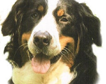 BERNESE MOUNTAIN Dog on One 16 inch Square Fabric Panel for Sewing. Actual picture is approx 8" x 10" on white background.