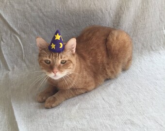 Wizard Hat For Kittens