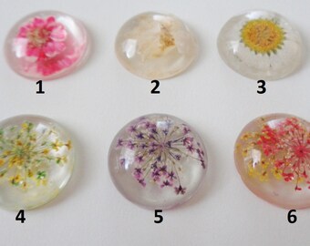 1 - 25mm Dried Floral Resin Cabochon