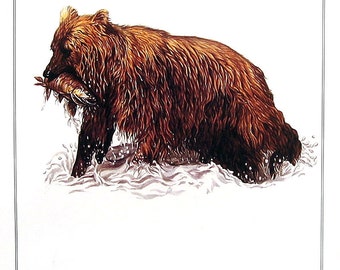 Grizzly Bear - Animal Print - 1982 Vintage Book Page - 7.5 x 10