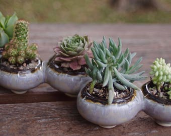 Ceramic Succulent Planter