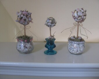 My mini Topiaries