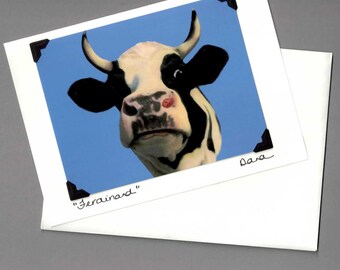 Holstein Steer Card - Funny Cow Card - Cow Art - Black and White Cow - 10% Benefits Animal Rescue