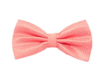 Coral Bow Tie Wedding Bow Tie Pre-tied Bow Tie Groomsmen Gifts Casual Bow Tie