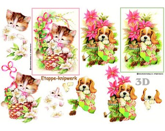 Puppy and kitten in basket-LS416968