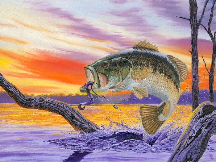 Bass Splash Bass Fish Art Print Bass Art Bass Fishing Art