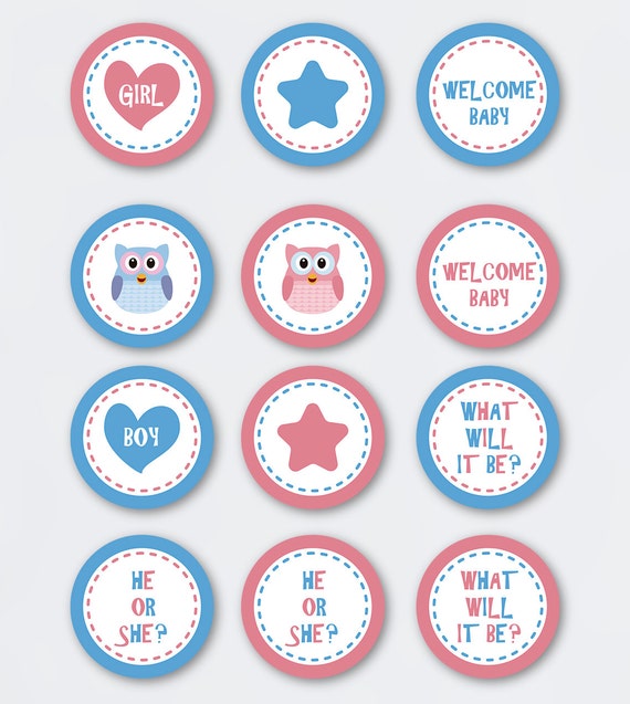 INSTANT DOWNLOAD Gender Reveal Owl Cupcake Topper Printable INSTANT DOWNLOAD Gender Reveal Owl Cupcake Topper Printable