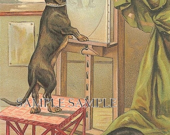 DACHSUND paint a portrait.Digital download.Rare. great for cards, decoupage, collage,sewing and so much more