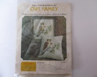 Crewel Embroidery Kit, Vintage Owl Family Crewel Embroidery Kit, Owl Embroidery Crewel Pillow Kit, Owl Crewel Embroidery Picture Kit, Owl