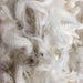 DISCOUNT Merino of my dreams