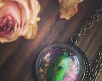 Preserved Beetle Dome Necklace