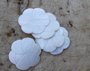 Large White cabebe shell flower shape pendant-3 inch diameter-Tahitian costume, pendant, necklace