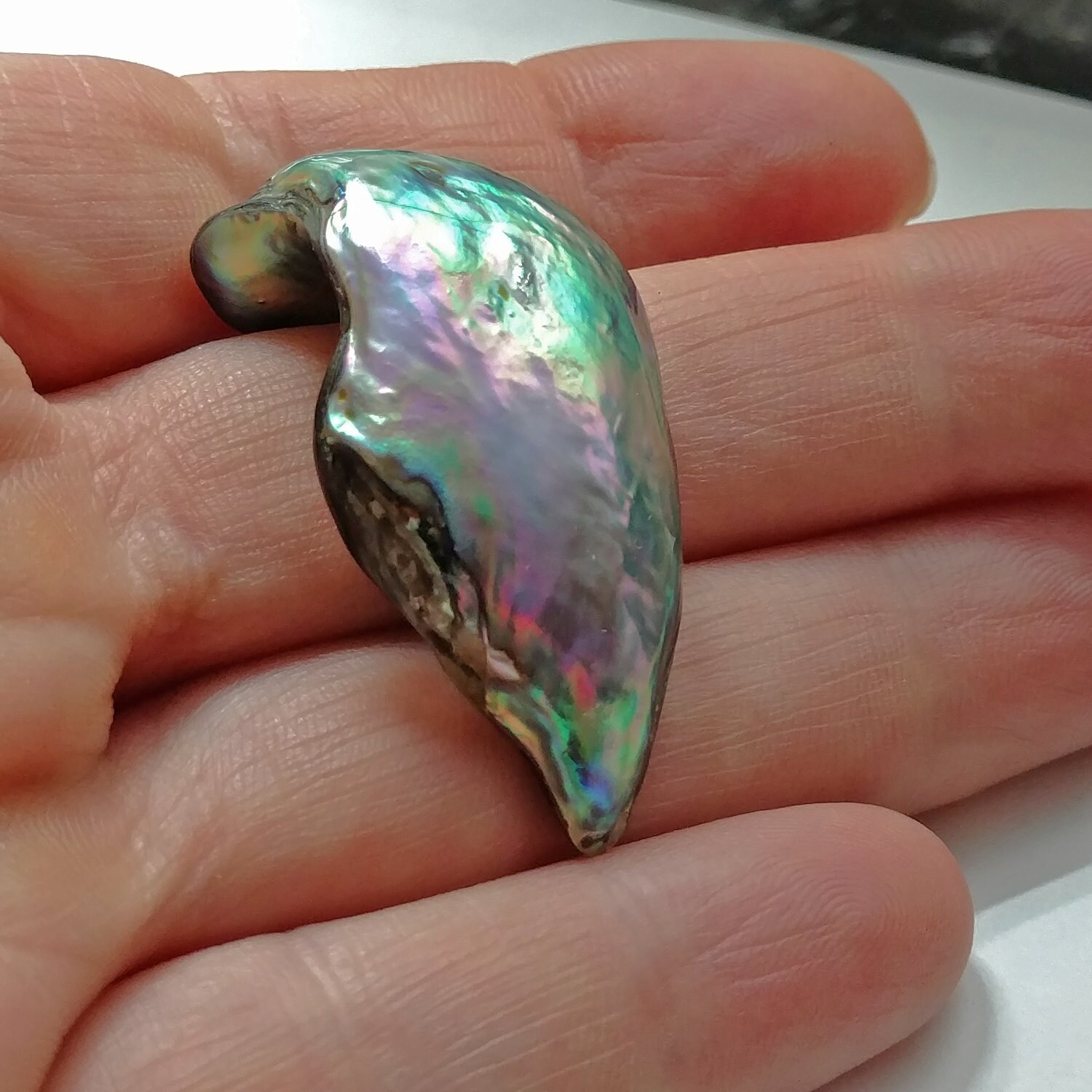Natural 24.4ct WaveShaped Abalone Pearl Loose Gem for Custom