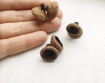 20 double acorn caps ,twin caps Natural Acorn Cap crafts Real Acorn Tops Acorn caps for sale Acorn caps bulk Acorn caps to buy dried