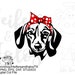 Bandana doxie dachshund digital file, digital cut file, printable, sublimation, svg, pdf, png, eps, dxf, silhouette, cricut