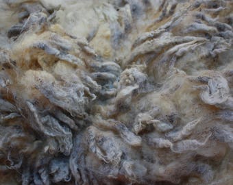 Shetland X Border Leicester Whole Fleece Very Pretty!