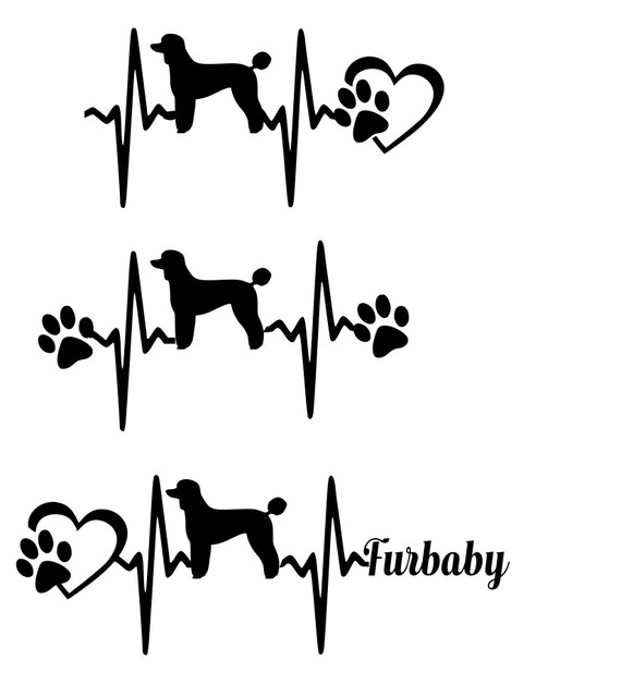 Download Standard Poodle SVG Cut File for cricut or silhouette Poodle