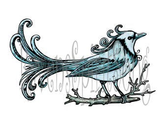 Winter bluebird digital stamp