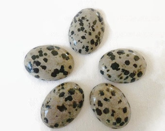 1 x Oval Dalmatian Jasper Cabochon
