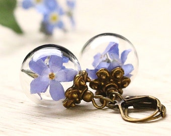 Bronze Forget Me Nots earrings e234
