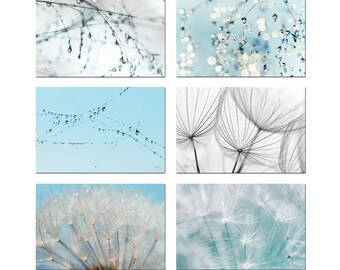 Photographs dandelion sky drops - lightness - zen harmony nature macor pictures set