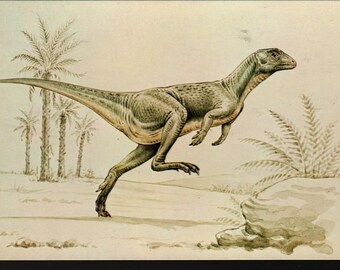 Fabrosaurus + British Museum + Vintage Postcard