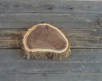 Large Elm Tree Slice- Wall Hanging, Candle Stand, Centerpiece, Large Wood Slice, Cake Stand (WS6017)