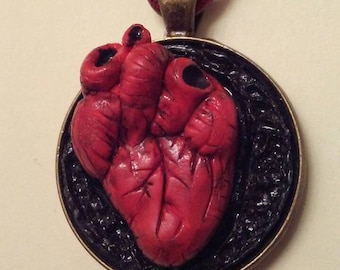 Anatomical heart pendant with chain