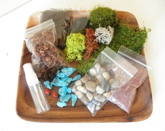 DIY - Colorful Terrarium Kit - Use your own container