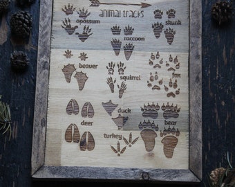 Field Guide. Animal Tracks. Wooden SIgn. Kids Room. Nursery
