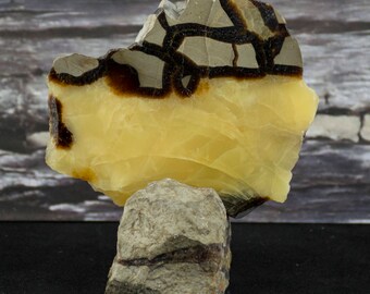 Septarian Collector Gemstone Slab
