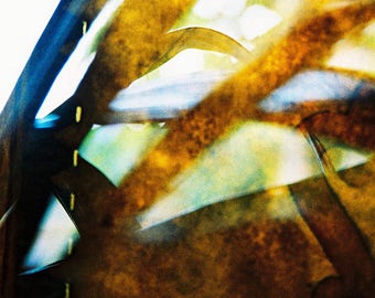 Large Fine Art Photography Giclee Print