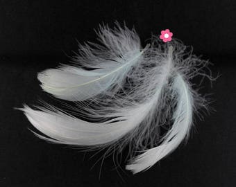 x 10 4 to 10cm (64F) pale blue goose feathers